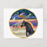 Xmas Star - Black Arabian Horse