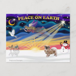 Xmas Sunrise - Tibetan Spaniel 1 Holiday Postcard