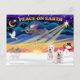 Xmas Sunrise - Two West Highland Terriers Holiday Postcard