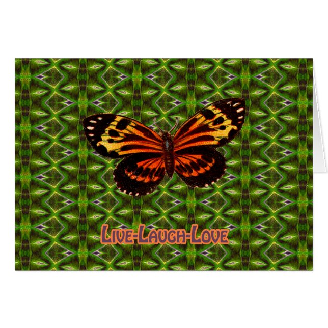 XNP102-031 (Front Horizontal)