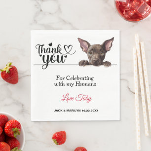 Xoloitzcuinti Peeking Dog Paper Napkins