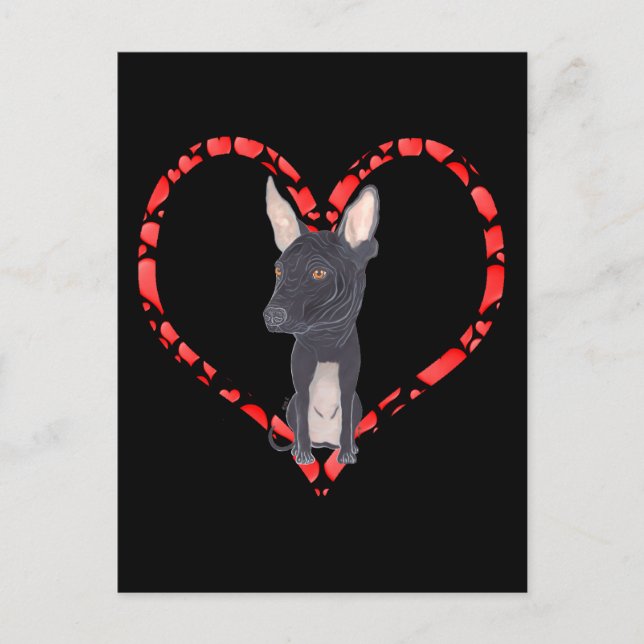 XOLOITZCUINTLE HEART HOLIDAY POSTCARD (Front)