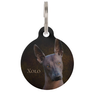 Xoloitzcuintle Pet Tag