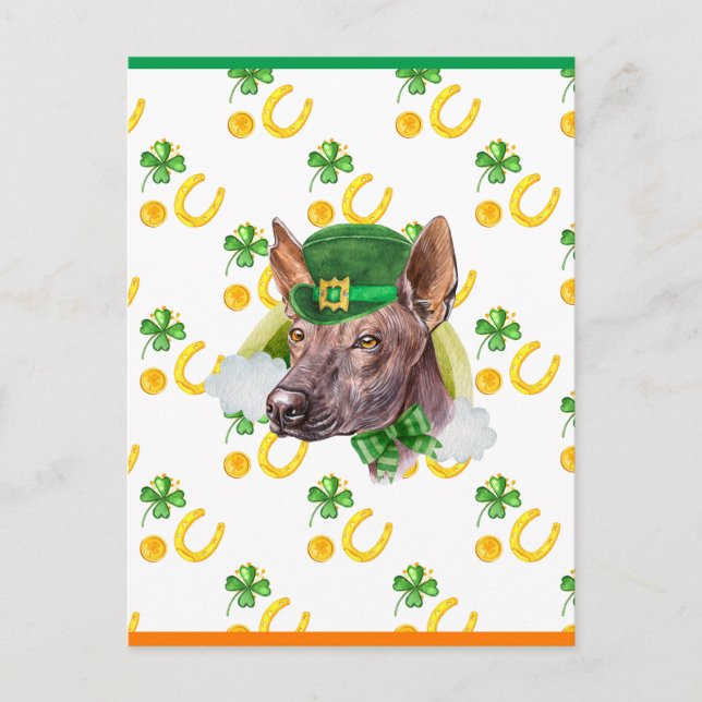 Xoloitzcuintle Shamrock St. Patricks Day Holiday Postcard (Front)