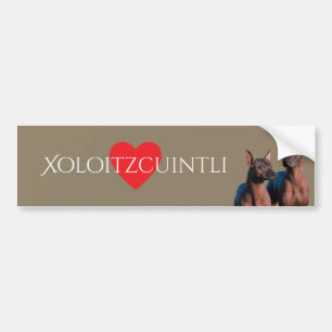 Xoloitzcuintli Bumper Sticker