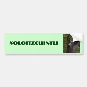 Xoloitzcuintli Bumper Sticker