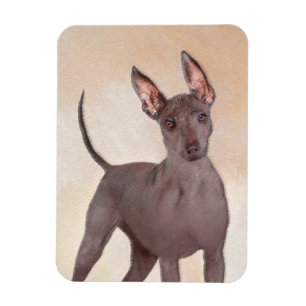 Xoloitzcuintli Painting - Cute Original Dog Art Magnet
