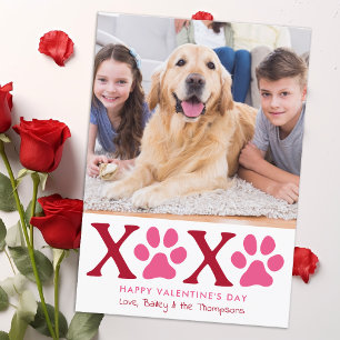 XOXO Valentine's Day Cute Custom Pet Dog Photo Holiday Card