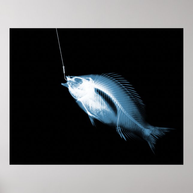 XRAY HOOK FISH BLACK BLUE POSTER (Front)