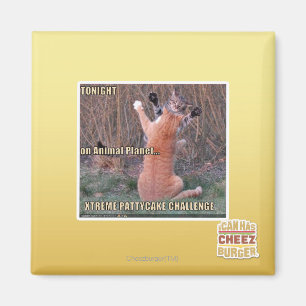 Xtreme PattyCake Challenge Magnet