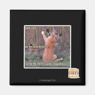 Xtreme PattyCake Challenge Magnet
