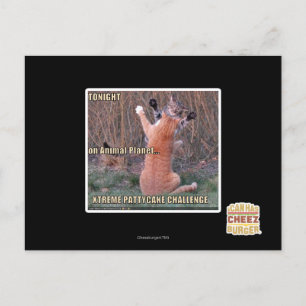 Xtreme PattyCake Challenge Postcard