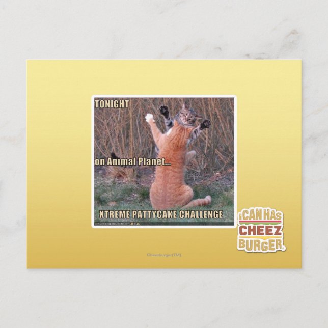 Xtreme PattyCake Challenge Postcard (Front)