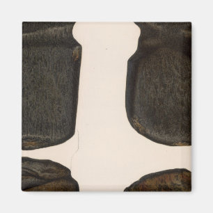 XVII Stone implements, New Mexico Magnet