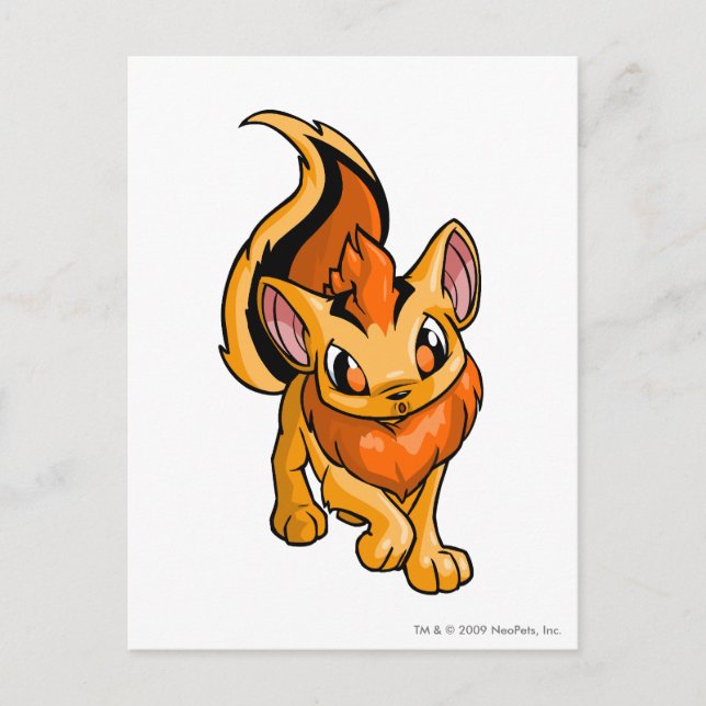 Xweetok Orange Postcard (Front)