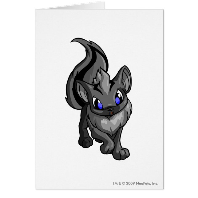 Xweetok Shadow (Front)