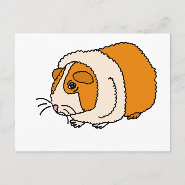 XX- Cute Guinea Pig Cartoon Postcard (Front)