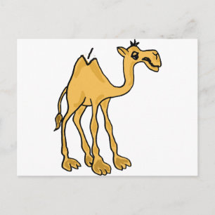 XX- Funny Camel Cartoon Postcard