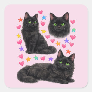y2k rainbow hearts black cat kawaii cute square sticker