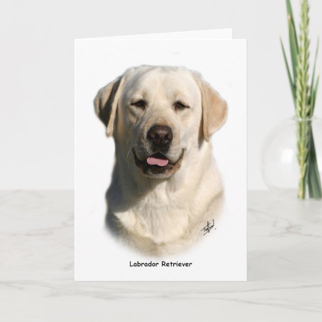 Y ellow Labrador Retriever Card (Front)