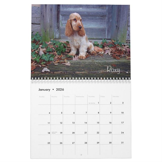 Y-Knot English Cocker Spaniel Calendar (Jan 2026)