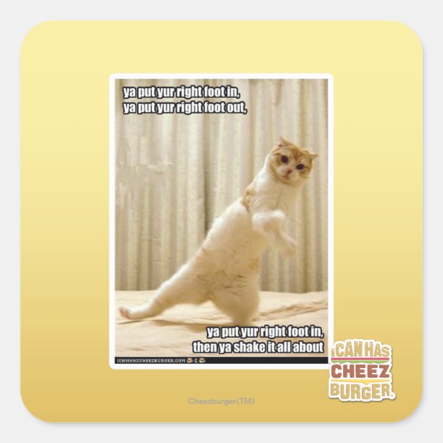 Ya put yur right foot in, ya put yur right foot ou square sticker (Front)