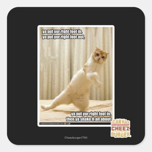 Ya put yur right foot in, ya put yur right foot ou square sticker (Front)