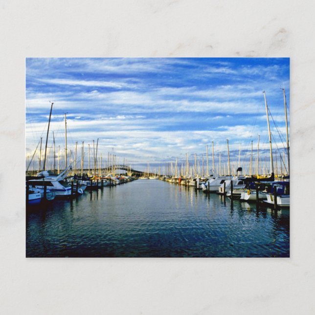 Yacht Club, Auckland Harbour, North Island Postcard (Front)