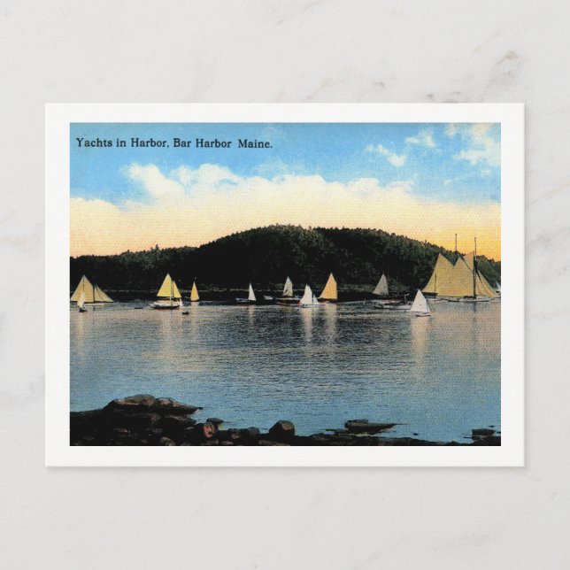 Yachts, Bar Harbour, Maine, Vintage Postcard (Front)