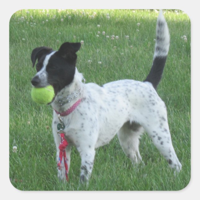 Yahtzee The Dog with Ball Stickers (Front)