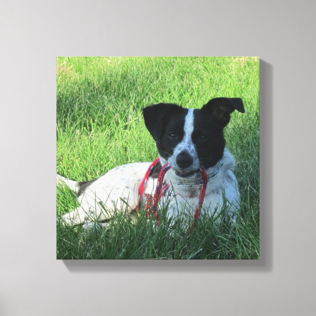 Yahtzee The Dog with Leash Canvas Print (Front)