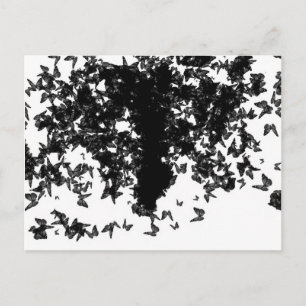 yaie black swallowtail butterfly postcard
