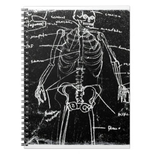 yaie tokyo human skeleton anatomy spiral notebook