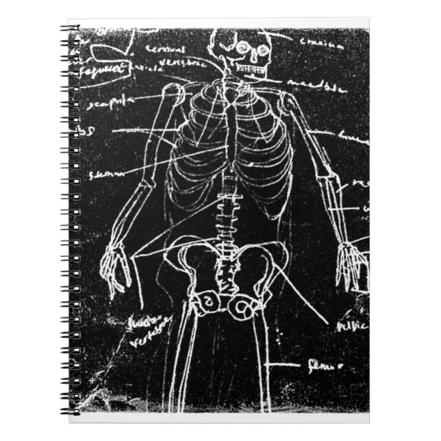 yaie tokyo human skeleton anatomy spiral notebook (Front)