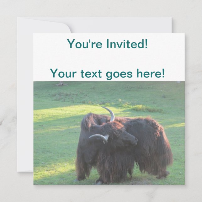 Yak Invitation (Front)