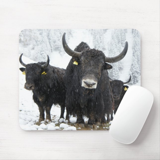 Yak Mouse Pad (With Mouse)
