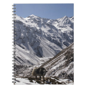 Yak near Mt. Jhomolari, Jangothang Jigme Dorji Spiral Notebook