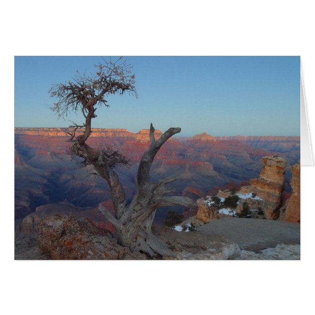 Yaki Point At The Grand Canyon (Front Horizontal)