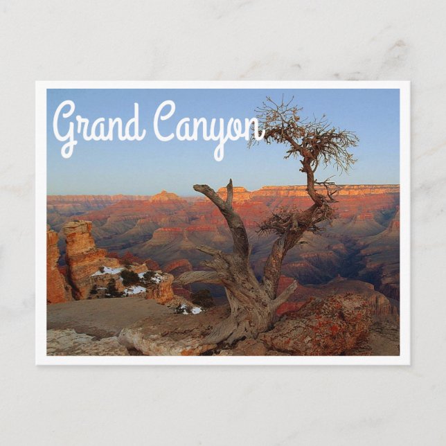 Yaki Point, Grand Canyon Arizona Postcard (Front)