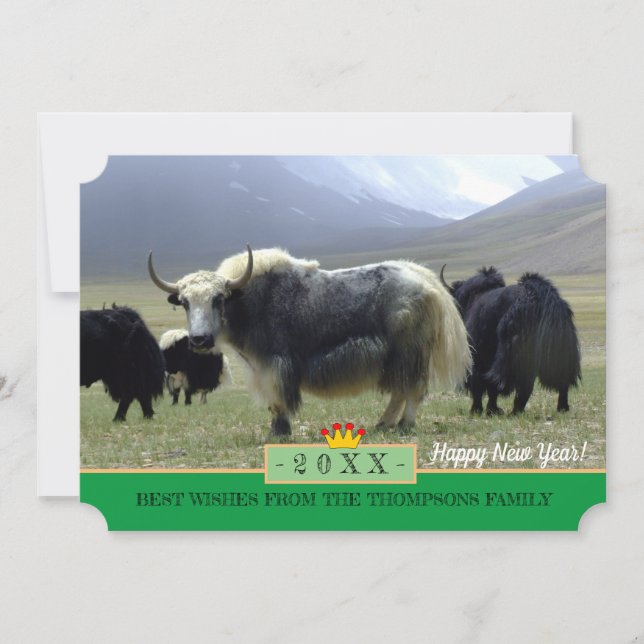 Yaks & Happy New Year! Card /Himalayas, Tibet (Front)