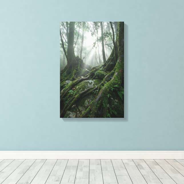 Yakushima 'Breath of Life' | Ancient Biophilic Canvas Print (Insitu(Wood Floor))