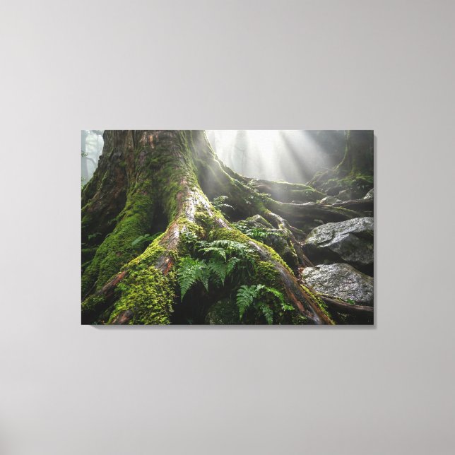 Yakushima Moss Forest 'Breath of Life' | Biophilic Canvas Print (Front)