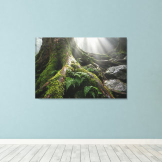 Yakushima Moss Forest 'Breath of Life' | Biophilic Canvas Print
