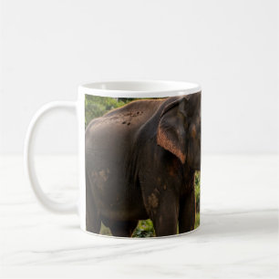 Yala National Park Elephant Mug - Sri Lanka Wildli