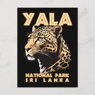 Yala National Park - Sri Lanka Leopard Postcard