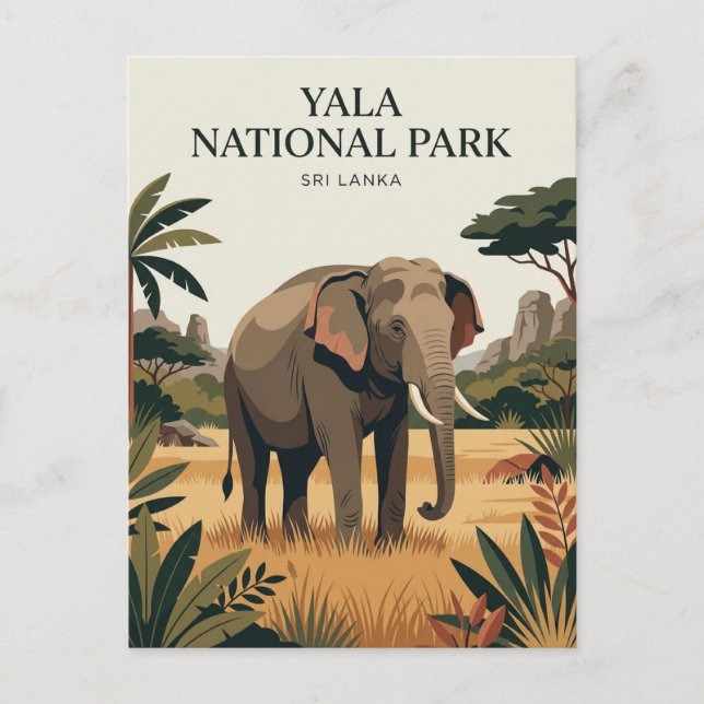 Yala National Park Sri Lanka Postcard (Front)