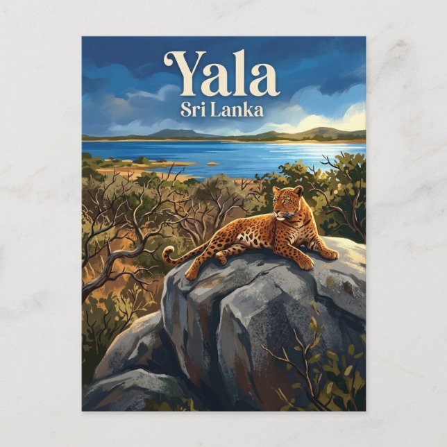 Yala National Park Sri Lanka Postcard (Front)