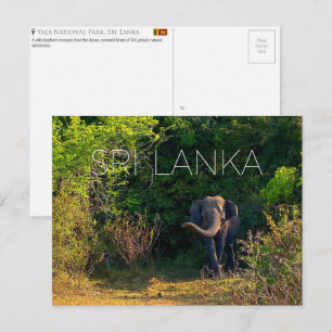 Yala National Park, Sri Lanka Travel Postcard