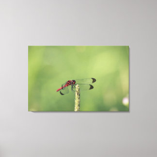 Yamanashi Prefecture, Honshu, Japan Canvas Print