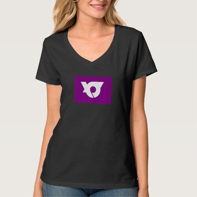 Yamanobe Japan Flag T-Shirt (Front)